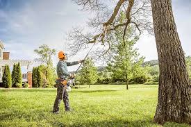 Best Storm Damage Tree Cleanup  in Sutherland, NE